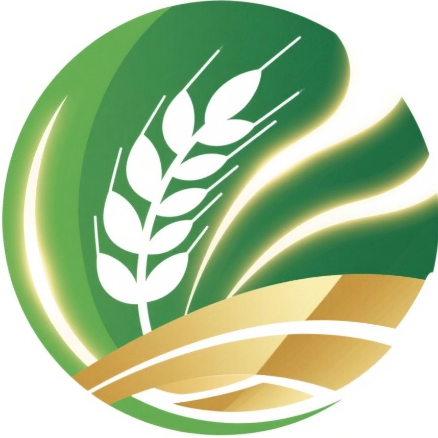 系统Logo